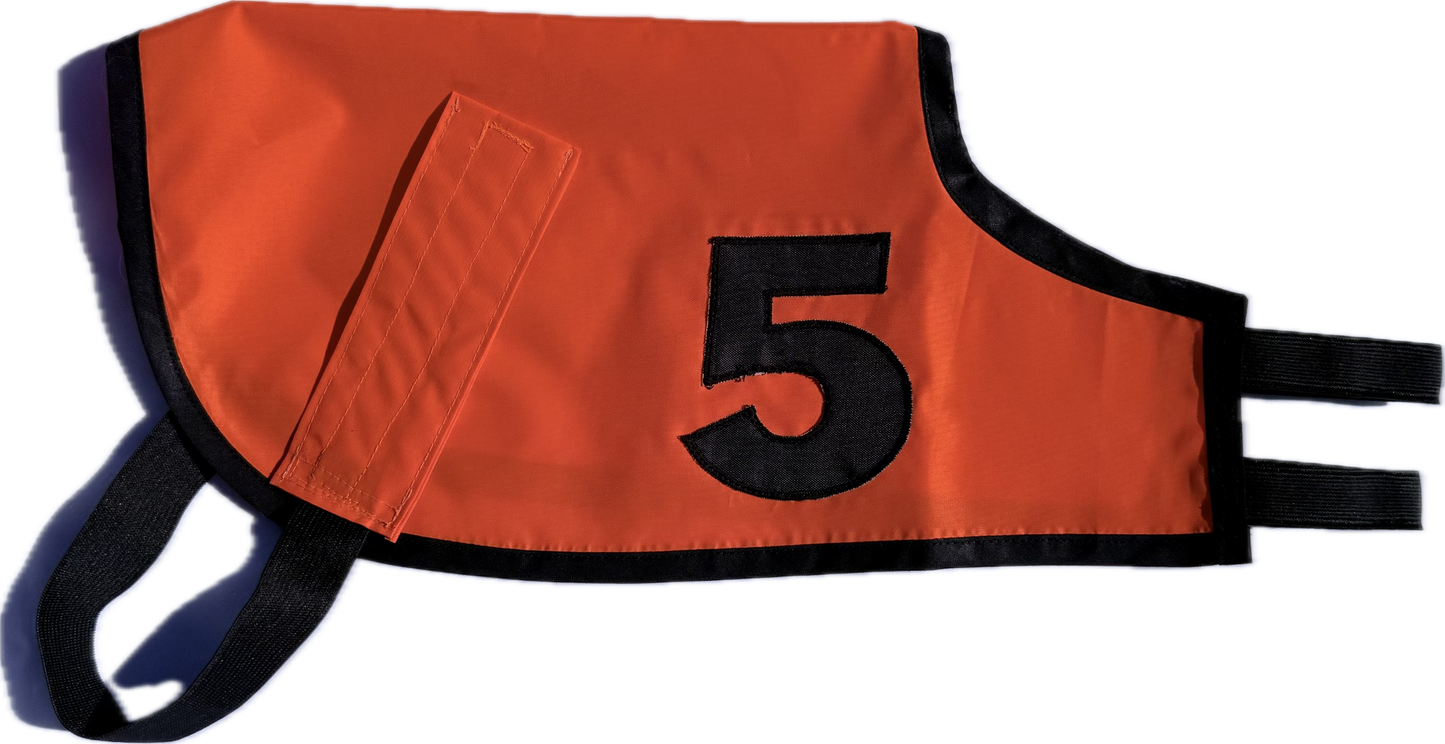 Racing Jackets (set of 5) Whippet